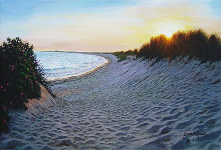 Dune Burst by Bruce Dumas art print