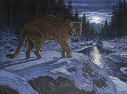 Night Stalker by Bruce Dumas art print