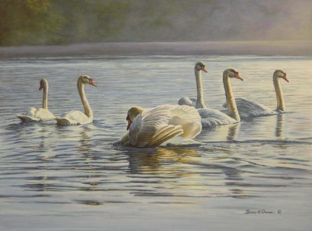 Hanover Swans Six by Bruce Dumas art print