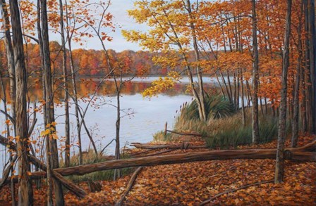 Crescent Lake by Bruce Dumas art print