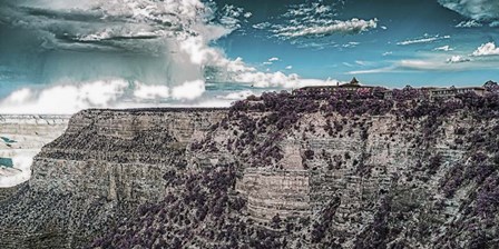 My new sunglasses by Giuseppe Torre art print