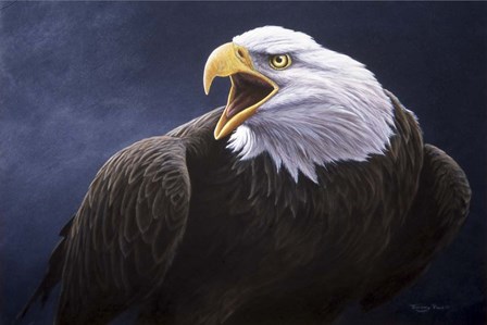 Cry Of The Eagle by Dr. Jeremy Paul art print