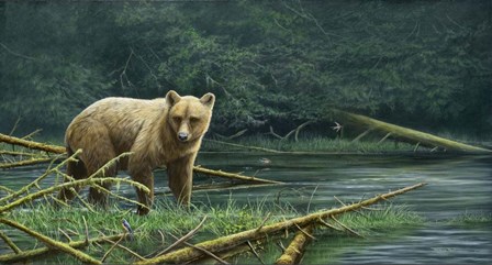 Grizzly And Swallows by Dr. Jeremy Paul art print