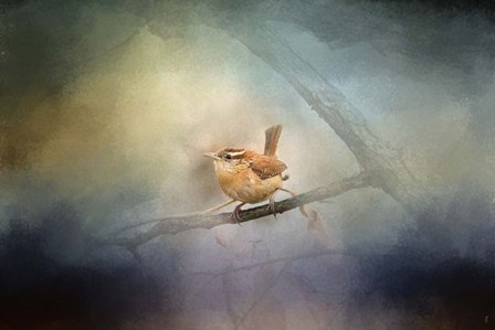 Brighten My World Wren by Jai Johnson art print