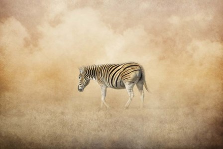 Indian Summer Zebra by Jai Johnson art print