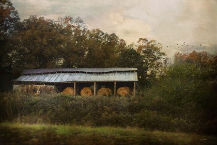 A Barn For The Hay by Jai Johnson art print
