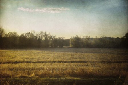 Break In The Trees by Jai Johnson art print