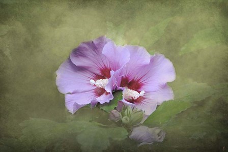 Joined by Jai Johnson art print