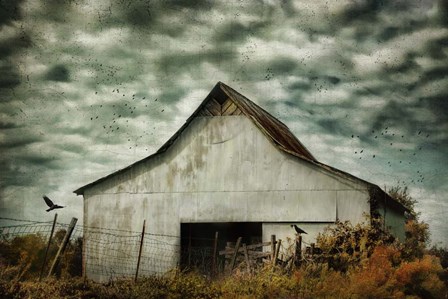 Where The Crows Roost In Autumn by Jai Johnson art print