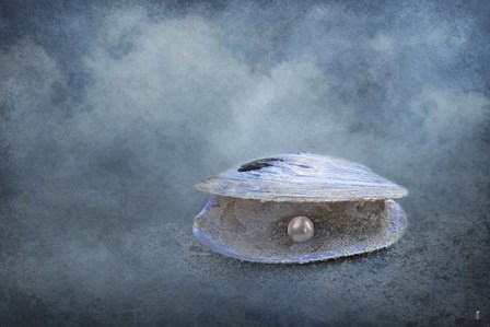 Hidden Gem by Jai Johnson art print