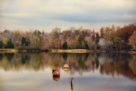 Autumn At Lake LaJoie 3 by Jai Johnson art print
