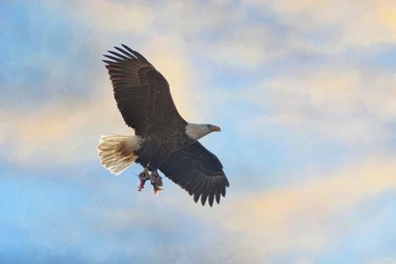 Bringing In The Leftovers by Jai Johnson art print