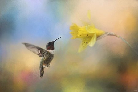 Garden Visitor by Jai Johnson art print