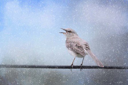 Mockingbird In The Snow by Jai Johnson art print