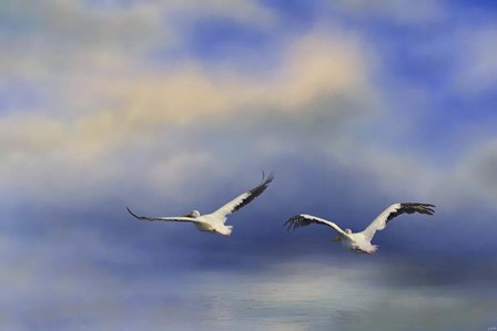 Pelicans At Sea by Jai Johnson art print