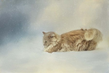 Snow Diving by Jai Johnson art print