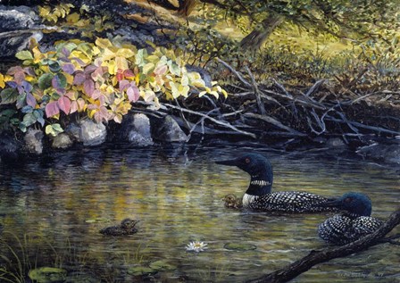 Peaceful Reflections by Kevin Dodds art print