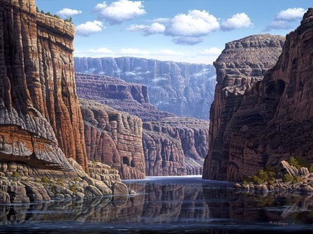 Nature&#39;s Way by R.W. Hedge art print