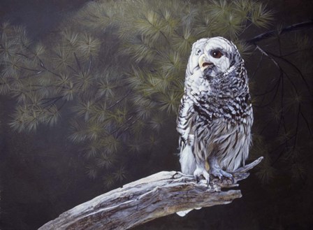 Feathered Alarm Clock by Rusty Frentner art print