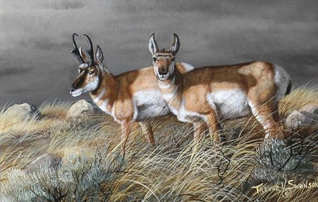 Stormy Plains by Trevor V. Swanson art print
