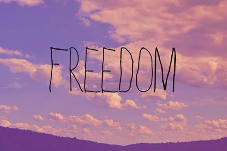 Freedom by Vintage Skies art print