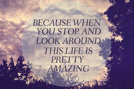 Pretty Amazing by Vintage Skies art print