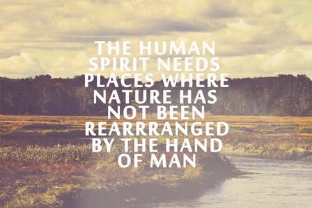 The Human Spirit by Vintage Skies art print