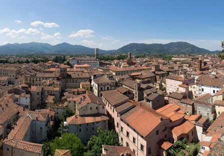Torre Guinigi, Lucca, Tuscany, Italy by Panoramic Images art print