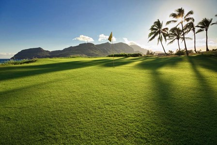 Golf Course, Kauai Lagoons, Kauai, Hawaii by Panoramic Images art print