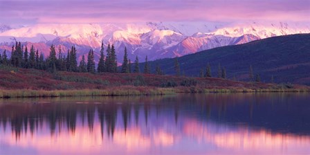 Alaska Denali National Park by Panoramic Images art print