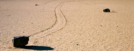 Racetrack, Death Valley National Park, California by Panoramic Images art print