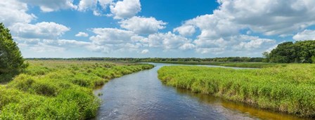 Myakka River State Park, Sarasota, Florida by Panoramic Images art print