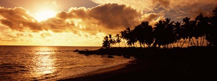 Honomalino Beach, Hawaii by Panoramic Images art print