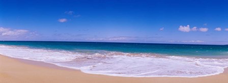 Papohaku Beach,, Hawaii by Panoramic Images art print