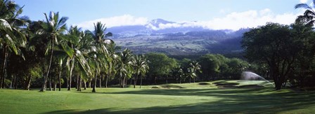 Makena Golf Course, Maui, Hawaii by Panoramic Images art print