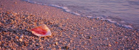 Lovers Key State Park, Fort Myers Beach, Florida by Panoramic Images art print