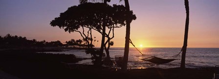 Hammock on the Beach, Fairmont Orchid, Hawaii by Panoramic Images art print