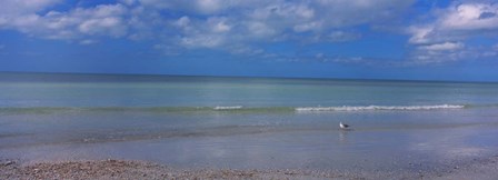 Crescent Beach, Gulf Of Mexico, Florida by Panoramic Images art print