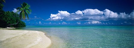 Palm Tree in the French Polynesia by Panoramic Images art print