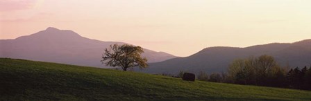 Camels Hump, Waterbury, VT by Panoramic Images art print