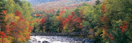 White Mountain National Forest, NH by Panoramic Images art print