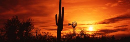 Sonoran Desert Sunset, Arizona by Panoramic Images art print