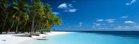 Beach Maldives by Panoramic Images art print