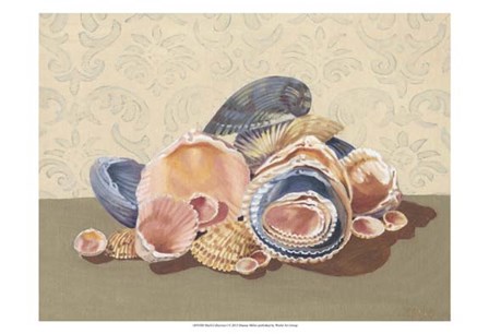 Shell Collection I by Dianne Miller art print