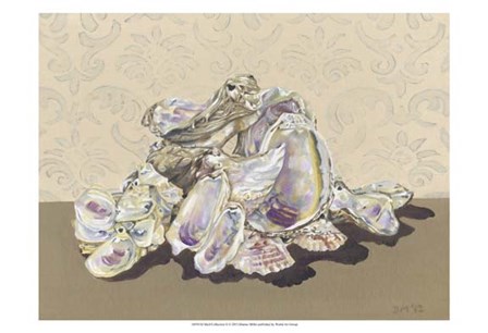 Shell Collection II by Dianne Miller art print