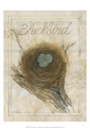 Nest - Blackbird by Elissa Della-Piana art print