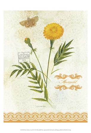 Flower Study on Lace XI by Elissa Della-Piana art print
