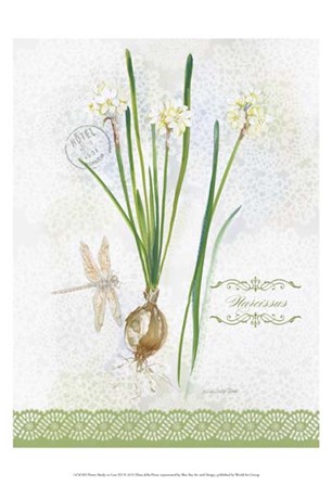 Flower Study on Lace XII by Elissa Della-Piana art print