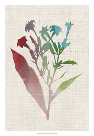 Watercolor Plants II by Naomi McCavitt art print