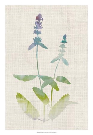 Watercolor Plants IV by Naomi McCavitt art print